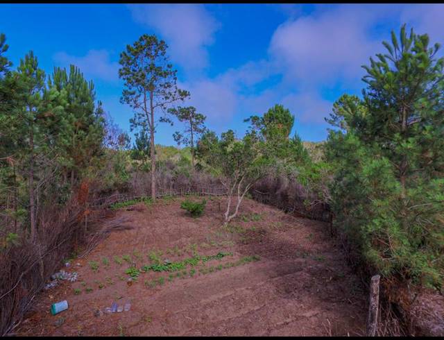 FARM FOR SALE IN WILDERNESS